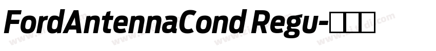 FordAntennaCond Regu字体转换